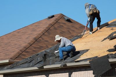 Professional Roofing Team