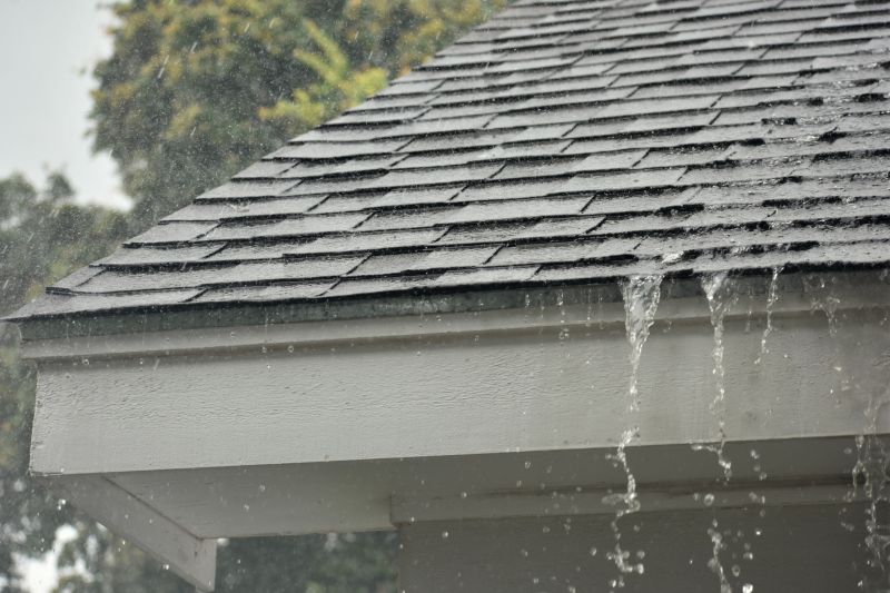 Roof Water Leak Detection